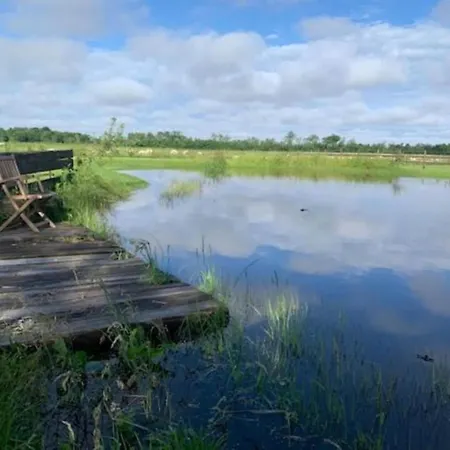 Cozy With Garden, Close To The Wadden Sea Βίλα Hippolytushoef