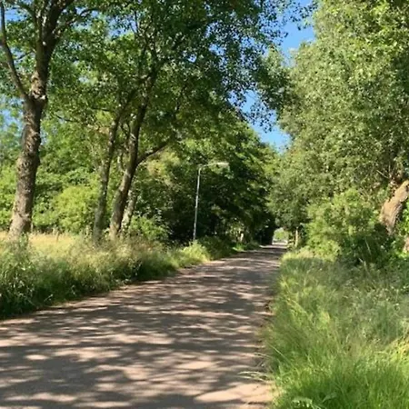 Vila Elegant Wieringer